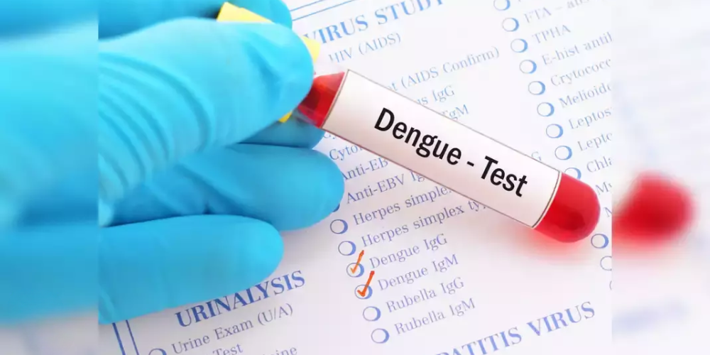 Dengue Test in Hindi