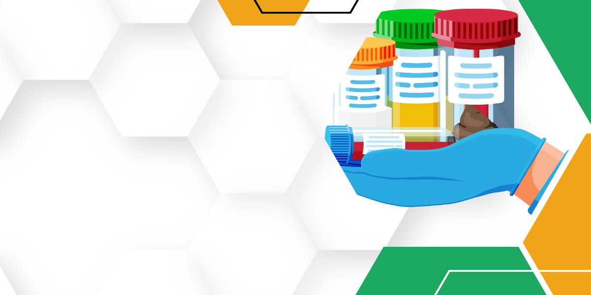 Blood Test Lab Near Me Book Blood Test at Home 8505958958